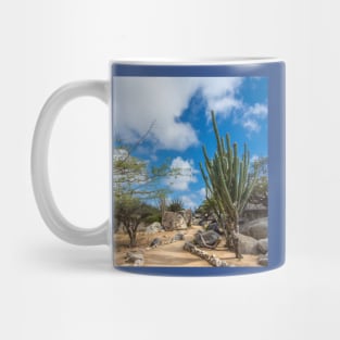 Casibari Walkway Aruba Mug